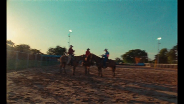 Video Reference: Horse, Rein, Halter, Animal sports, Bridle, Pack animal, Horse tack, Mare, Recreation, Landscape