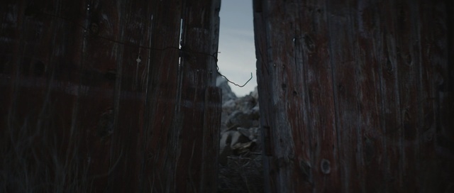 Video Reference: darkness, light, wood, atmosphere, tree, sky, night, screenshot, forest