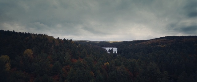 Video Reference: Sky, Nature, Highland, Wilderness, Cloud, Leaf, Mountain, Tree, Hill, Fell
