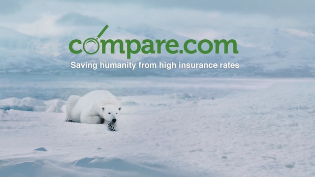 Video Reference: Polar bear, Bear, Natural environment, Polar ice cap, Arctic, Adaptation, Text, Atmospheric phenomenon, Arctic ocean, Ice