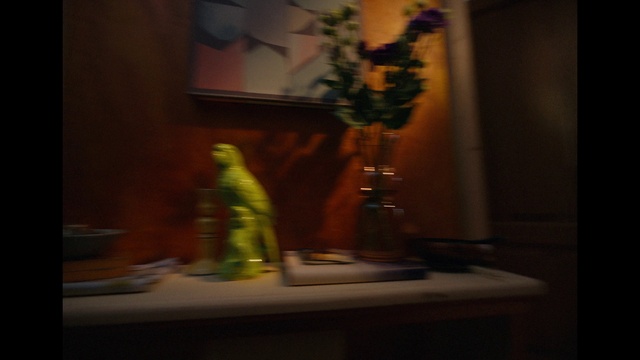 Video Reference: Flower, Plant, Glass bottle, Bottle, Tints and shades, Wood, Glass, Drinkware, Curtain, Artifact