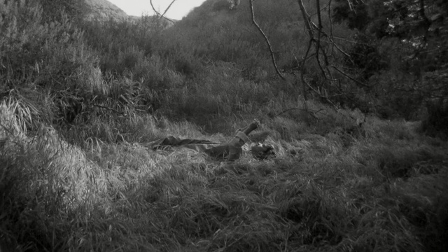 Video Reference: black, black and white, nature, ecosystem, monochrome photography, vegetation, tree, forest, grass, wilderness