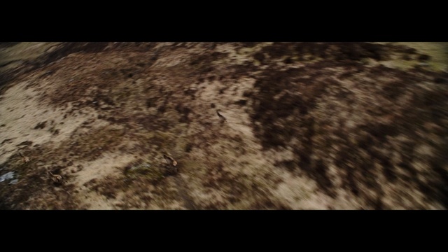 Video Reference: Black, Brown, Soil, Tree, Rock, Fur, Photography, Wood, Screenshot, Pattern