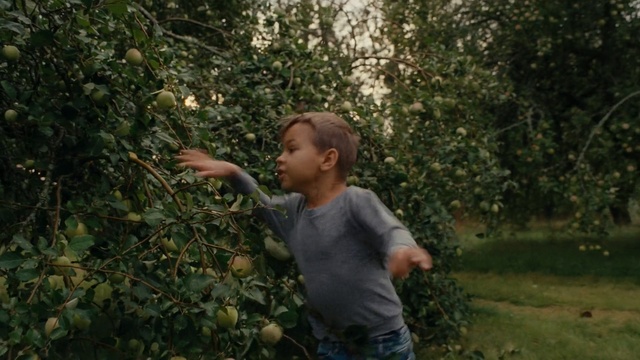 Video Reference: Nature, Jungle, Natural environment, Forest, Tree, Leaf, Woodland, Plant, Rainforest, Shrub, Person