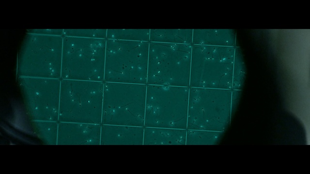 Video Reference: Green, Black, Turquoise, Teal, Aqua, Text, Space, Symmetry, Line, Font