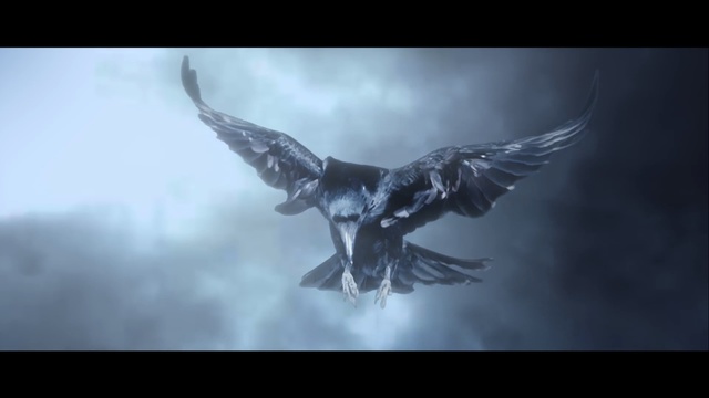 Video Reference: Wing, Eagle, Screenshot, Bird, Bird of prey, Photography, Cg artwork, Mythology, Stock photography, Fictional character