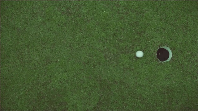 Video Reference: green, grass, lawn, atmosphere, football, ball game, biome, golf equipment, grassland, grass family