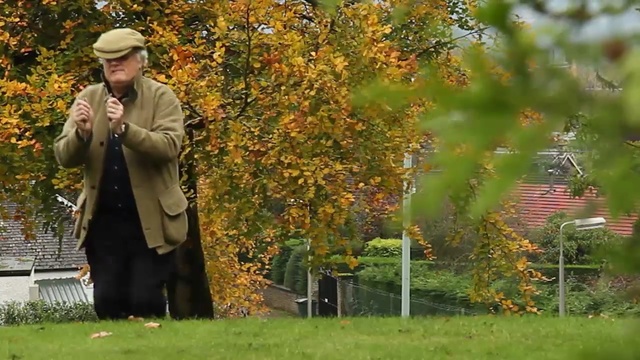 Video Reference: nature, leaf, tree, plant, woody plant, autumn, garden, grass, lawn, spring