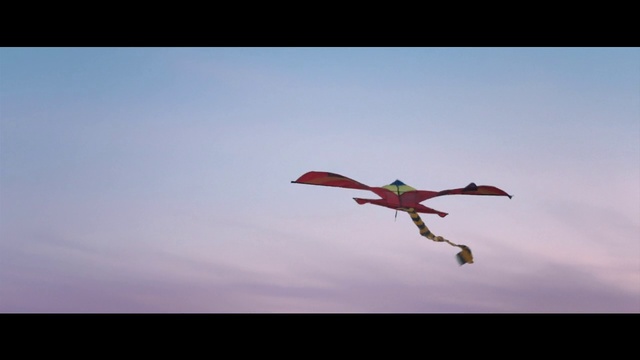 Video Reference: Sky, Plant, Flower, Wing
