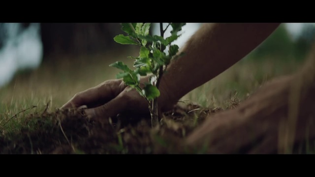 Video Reference: Nature, Leaf, Wildlife, Plant, Tree, Soil, Organism, Branch, Grass, Landscape