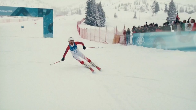 Video Reference: skiing, ski pole, alpine skiing, nordic combined, ski cross, slalom skiing, cross country skiing, ski, nordic skiing, freestyle skiing, Person