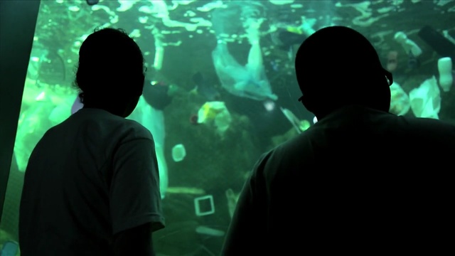 Video Reference: Green, Water, Organism, Adaptation, Photography, Underwater, Marine biology, World, Aquarium, Person