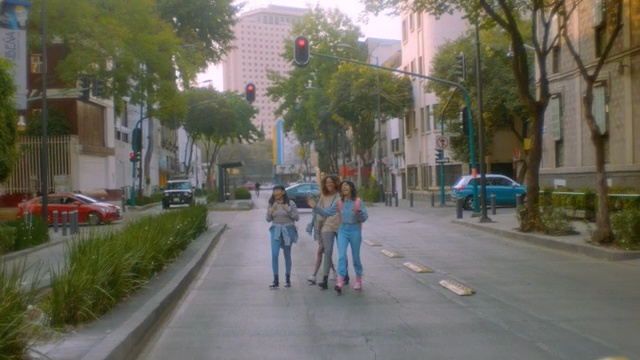 Video Reference: Neighbourhood, Street, Town, Pedestrian, Road, Sidewalk, Lane, Human settlement, Public space, Mode of transport, Person