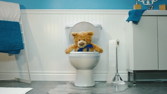 Video Reference: Blue, Teddy bear, Toilet, Room, Toilet seat, Interior design, Toy, Companion dog, Plumbing fixture, Furniture, Person