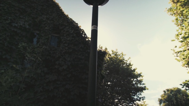 Video Reference: sky, street light, tree, leaf, light fixture, lighting, sunlight, plant, cloud, house