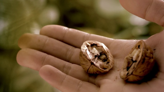 Video Reference: Hand, Finger