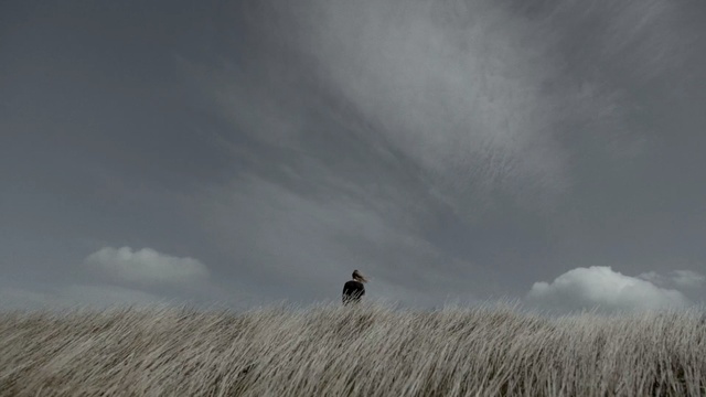Video Reference: Sky, Grassland, Cloud, Atmospheric phenomenon, Grass, Field, Grass, Prairie, Ecoregion, Steppe