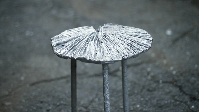 Video Reference: Water, Leaf, Table, Still life photography, Umbrella, Photography, Metal, Black-and-white, Furniture, Person