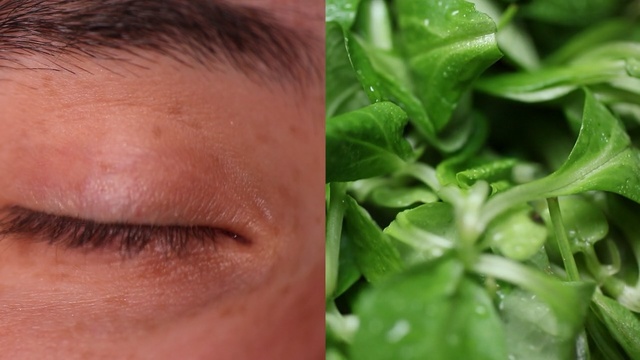 Video Reference: Face, Green, Skin, Nose, Head, Eyebrow, Forehead, Leaf, Close-up, Plant, Person