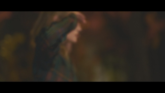 Video Reference: Nature, Black, Green, Sky, Darkness, Brown, Light, Macro photography, Atmosphere, Portrait