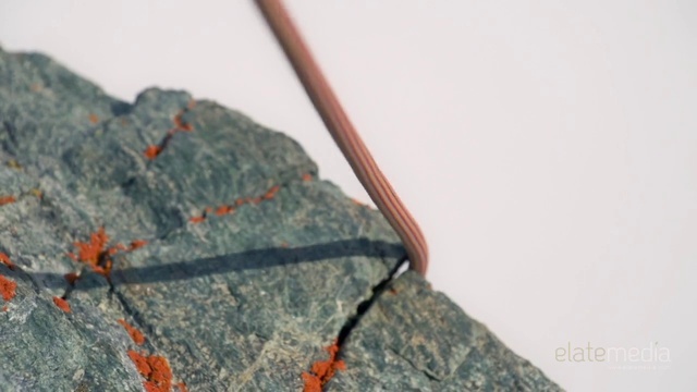 Video Reference: Leaf, Rock, Textile