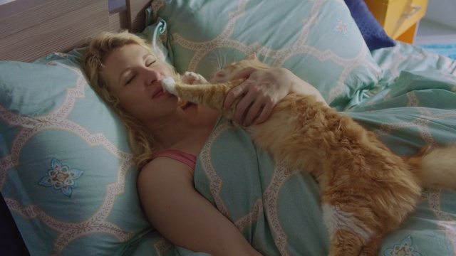 Video Reference: Cat, Felidae, Carnivore, Sporting Group, Small to medium-sized cats, Nap, Sleep, Fur, Fawn, Canidae