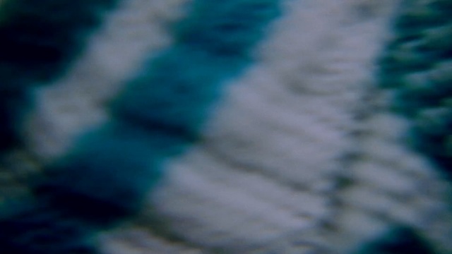 Video Reference: blue, green, aqua, close up, turquoise, light, underwater, azure, atmosphere, macro photography