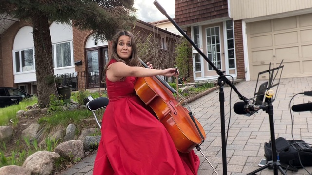 Video Reference: String instrument, String instrument, Musical instrument, Violin family, Bowed string instrument, Cello, Violone, Cellist, Violinist, Tololoche