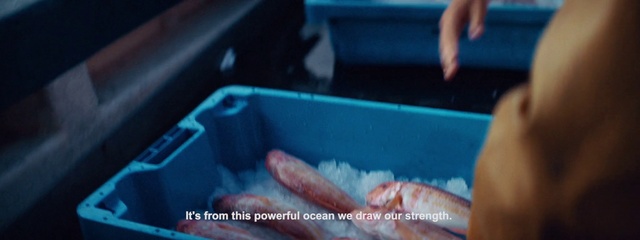 Video Reference: Fish, Fish, Food, Seafood, Hand, Finger