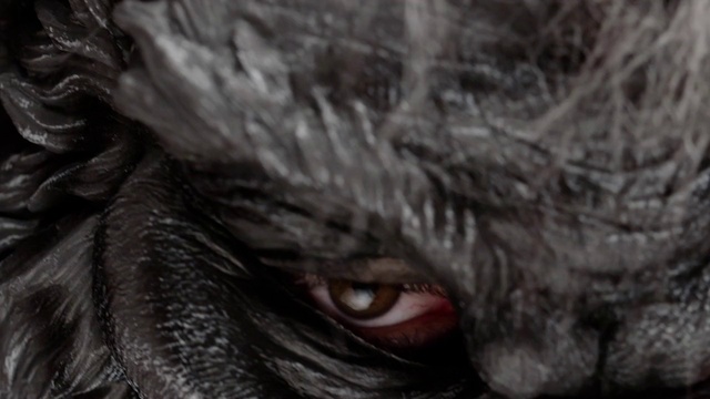 Video Reference: Eye, Organ, Close-up, Darkness, Demon, Fiction, Fictional character, Iris, Flesh