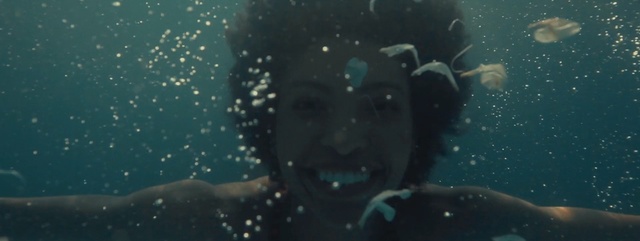 Video Reference: Underwater, Water, Marine biology, Organism, Scuba diving, Underwater diving, Recreation, Sea