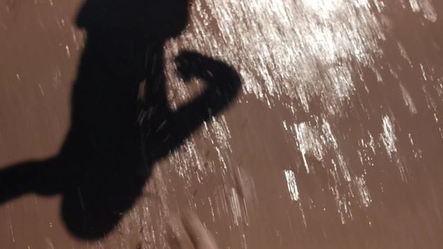 Video Reference: Shadow, Water, Leg, Fun, Hand, Wood, Tree, Long hair, Tints and shades, Tail