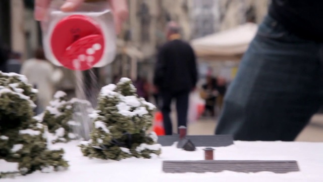 Video Reference: Winter, Snow, Plant, Flower, Photography, Pedestrian, Street