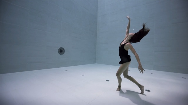 Video Reference: performing arts, event, dancer, ballet, recreation, performance, joint, ballet dancer, dance, girl, Person