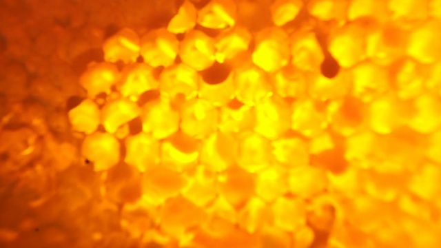 Video Reference: yellow, orange, atmosphere, macro photography, sky, pollen, computer wallpaper, orange, sunlight, petal, Person