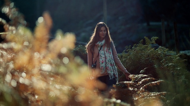Video Reference: vertebrate, organism, grass, darkness, girl, plant, tree, Person