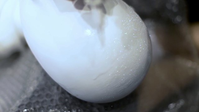 Video Reference: Egg, Food, Egg, Comfort food