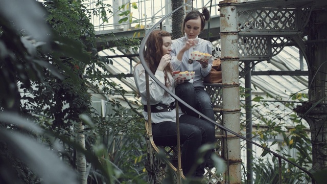 Video Reference: tree, woody plant, plant, girl, jungle, branch, recreation, outdoor structure, rainforest, fun, Person