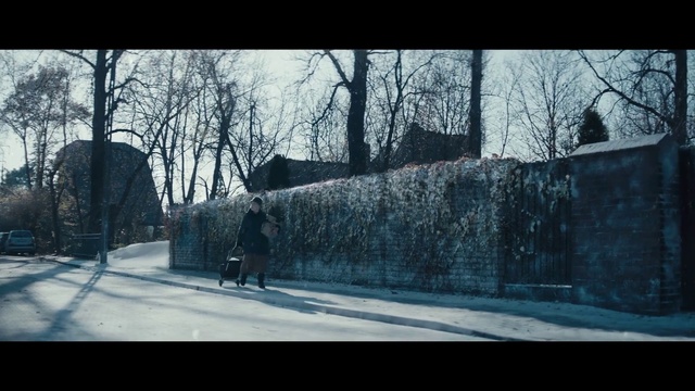 Video Reference: Winter, Snow, Tree, Urban area, Sky, Wall, Freezing, Architecture, Screenshot, Street