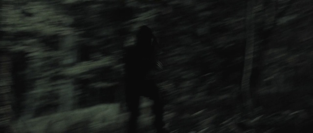 Video Reference: Black, Darkness, Nature, Photograph, Monochrome photography, Monochrome, Black-and-white, Natural environment, Light, Tree