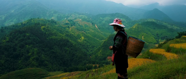 Video Reference: Highland, Mountainous landforms, Hill station, Nature, Mountain, Wilderness, Hill, Mountain range, Landscape, Mount scenery