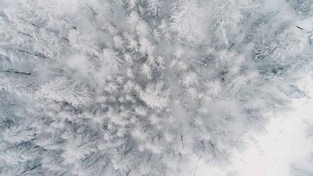 Video Reference: ice, crystal, solid, pattern, texture, surface, grunge, snow