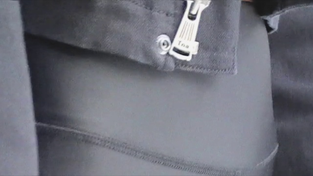 Video Reference: Silver