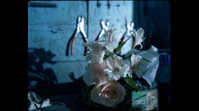 Video Reference: flower, darkness, still life photography, still life, organism, computer wallpaper, artwork