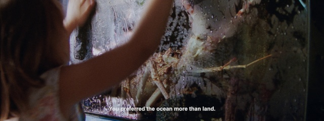 Video Reference: Tree, Trunk, Flesh, Art