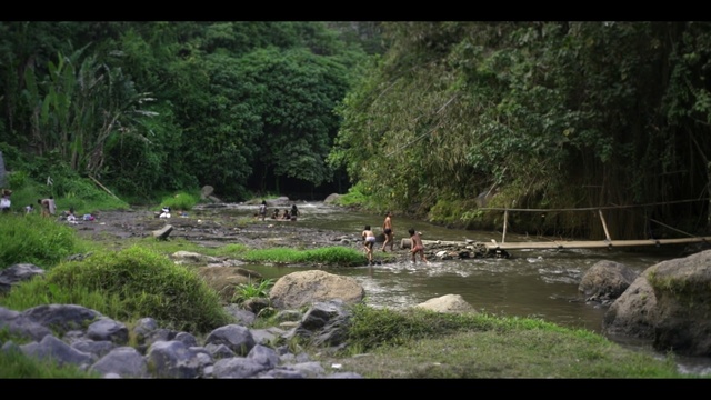 Video Reference: Nature, Nature reserve, Natural landscape, Vegetation, Jungle, Watercourse, Wilderness, Water resources, Riparian zone, Natural environment