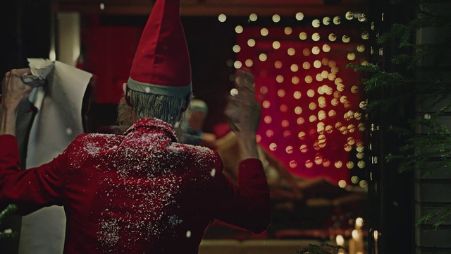 Video Reference: Red, Tree, Night, Christmas, Plant