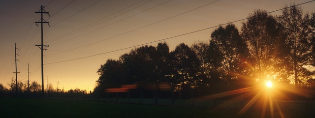 Video Reference: Sky, Nature, Atmospheric phenomenon, Cloud, Tree, Morning, Natural landscape, Light, Evening, Horizon