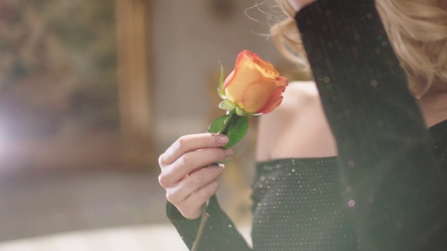 Video Reference: Flower, Pink, Rose, Hand, Floral design, Plant, Petal, Leaf, Floristry, Spring