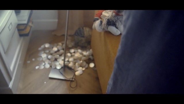 Video Reference: Floor, Hardwood, Wood, Flooring, Leg, Hand